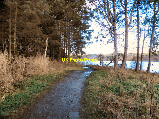 Photo 6"x4" Footpath, Wayoh Reservoir Chapeltown\/SD7315 c2010