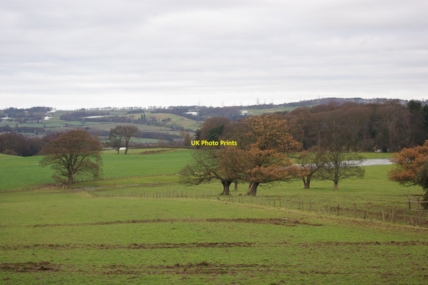 Photo 6"x4" Bradley park Crawcrook c2010