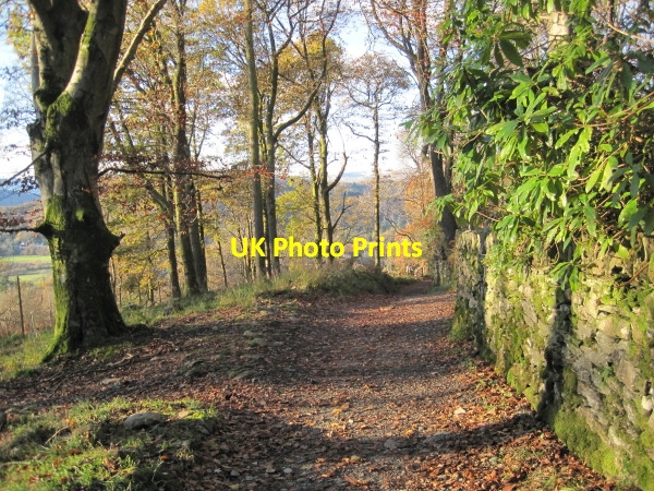 Photo 6"x4" Bridleway and Lane leading to Ambleside Ambleside c2010