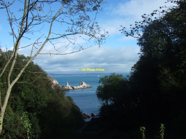 Photo 6"x4" View over Ansteys Cove Torquay c2008