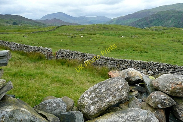 Photo 6"x4" Farmland near Llyndy-uchaf Bethania\/SH6250 c2009