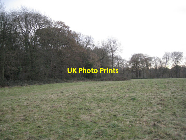 Photo 6"x4" Western edge of Dorridge Wood Packwood Gullet c2010