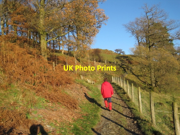 Photo 6"x4" Bridleway towards High Skelghyll Ambleside c2010
