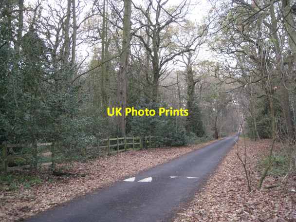 Photo 6"x4" Arden Drive and Dorridge Wood B93 Norton Green\/SP1774 c2010