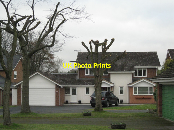 Photo 6"x4" Lopped trees, Arden Drive, Dorridge B93 Norton Green\/SP1774 c2010