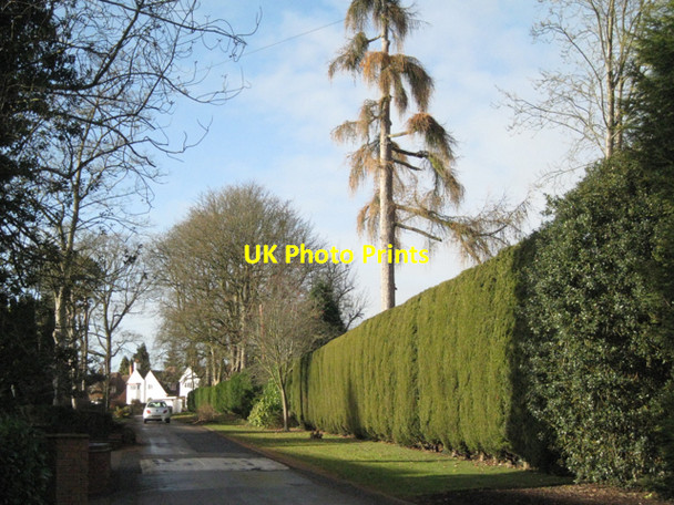 Photo 6"x4" Temple Road, Dorridge B93: 4 Knowle Grove c2010