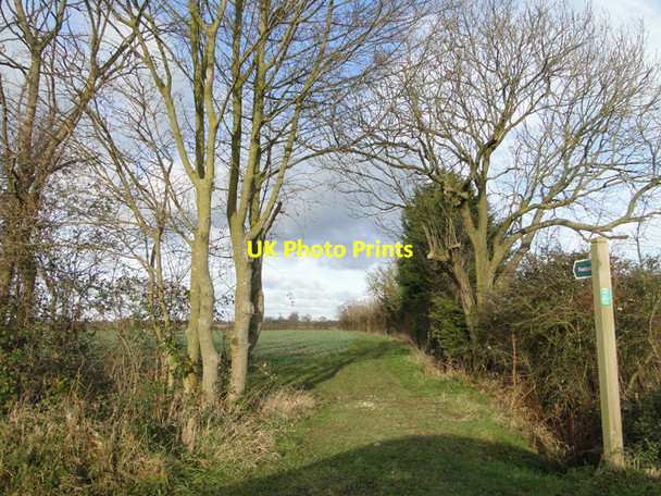 Photo 6"x4" Footpath No.8 off Willow Marsh Lane, Sibton Bramfield\/TM4073 c2010