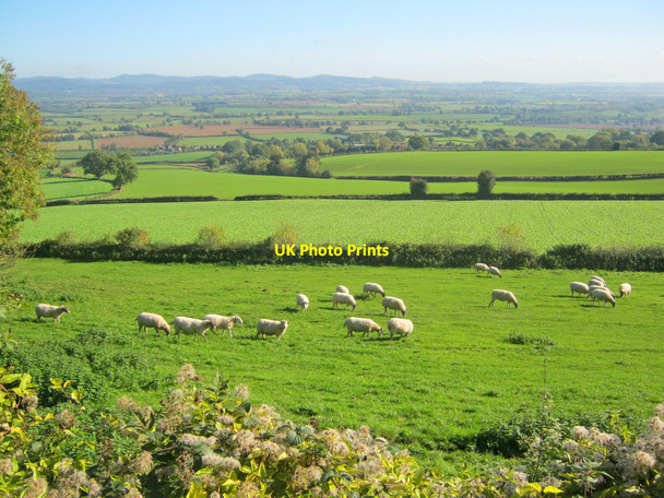 Photo 6"x4" Farmland east of Marcle Hill Rushall\/SO6434 c2010