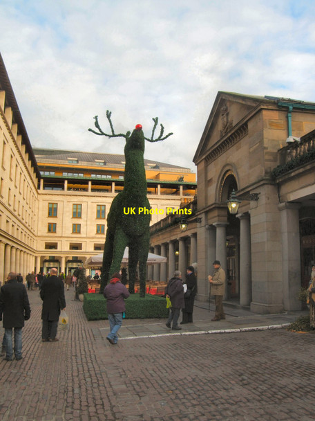 Photo 6"x4" Reindeer Sculpture - Covent Garden London c2010