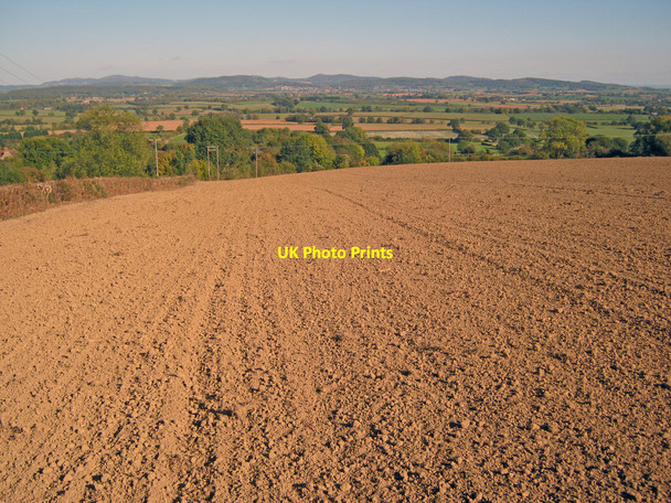 Photo 6"x4" Arable land at Cockyard Farm Rushall\/SO6434 c2010
