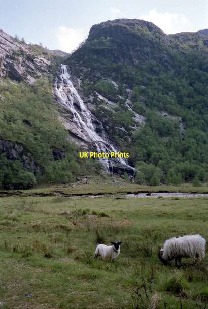 Photo 6"x4" Sheep grazing at Steall Steall c1990