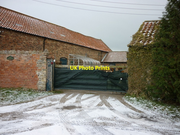 Photo 6"x4" Barking dogs at Westfield Farm on Bewholme Lane Hornsea c2010