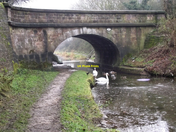 Photo 6"x4" Bridge 77, Lambert's Lane Congleton c2010