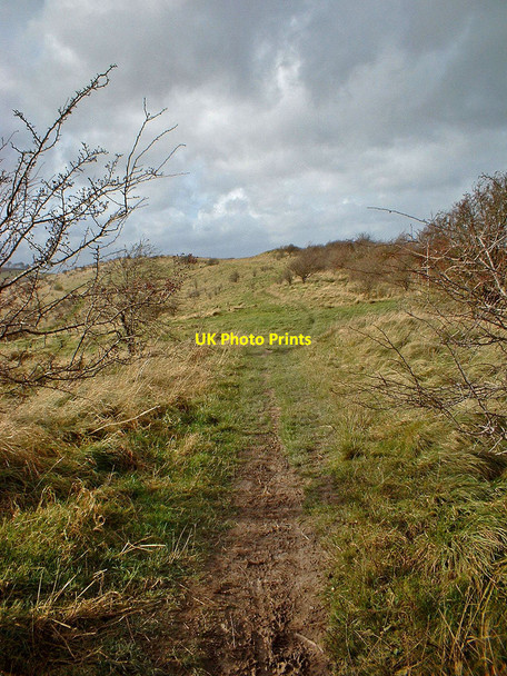 Photo 6"x4" Old Bath Road, Knoll Down Beckhampton c2002