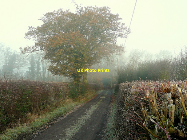 Photo 6"x4" Prestbury Lane Taynton\/SO7321 c2010