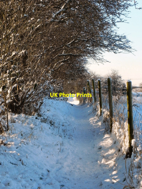 Photo 6"x4" Path at Scotson Fold Radcliffe\/SD7807 c2010