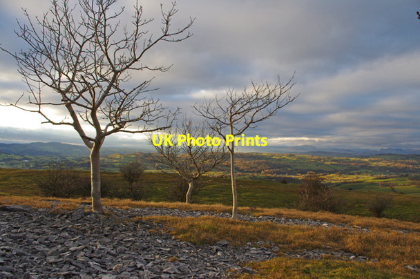 Photo 6"x4" Looking west from above Scout Scar Underbarrow c2010