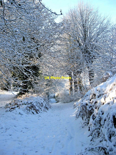 Photo 6"x4" A snow-covered path Stourport-on-Severn c2010