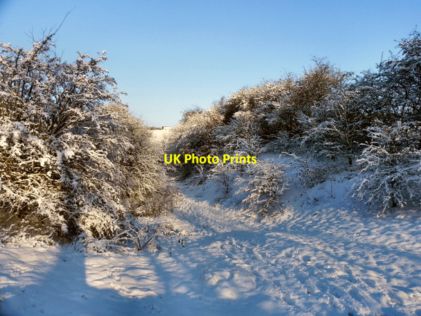 Photo 6"x4" Path To Farm Lodge Kearsley\/SD7505 c2010