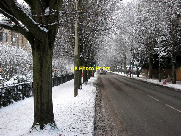 Photo 6"x4" Brooklands Avenue in the snow Cambridge\/TL4658 c2010