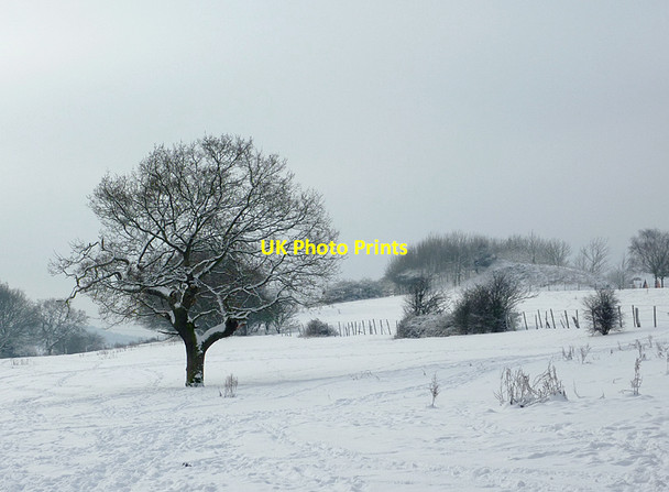 Photo 6"x4" Snow covered pasture on Colton Hills, Staffordshire Sedgley c2010