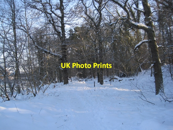 Photo 6"x4" Riverside Footpath near Riding Mill Broomhaugh c2010