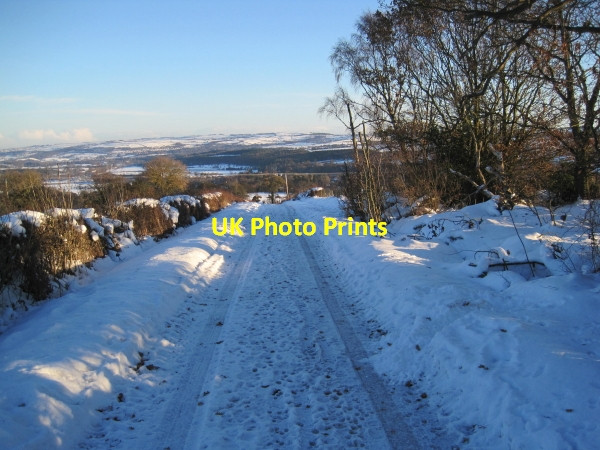 Photo 6"x4" Prospect Hill Beauclerc c2010