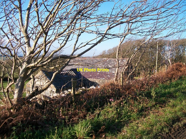 Photo 6"x4" Field barns at Meillionnydd Pen-y-groeslon c2010