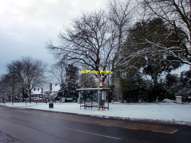 Photo 6"x4" Bus Stop, Cannon Hill, London N14 Southgate\/TQ3094 c2010