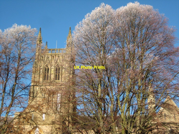 Photo 6"x4" Hoar frost and Worcester Cathedral Worcester c2010