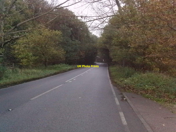 Photo 6"x4" Mildenhall Road, Barton Mills Barton Mills c2010