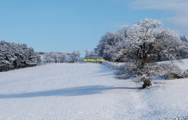Photo 6"x4" Winter farmland Bentlawnt c2010