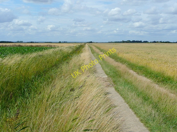 Photo 6"x4" Track from Pepper Hill Farm Tongue End c2009