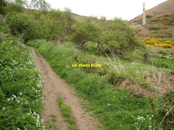 Photo 6"x4" Coast path in Kenidjack valley Boscean c2010