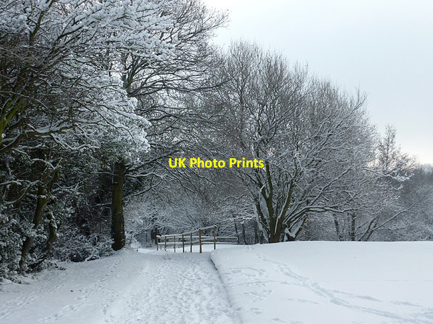 Photo 6"x4" Footpath across Penn Common, Staffordshire Sedgley c2010