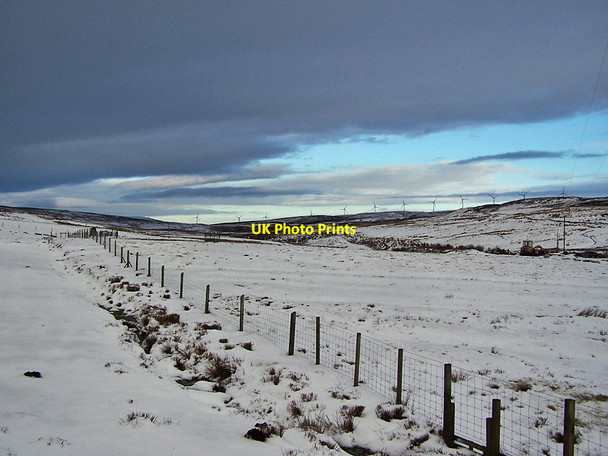 Photo 6"x4" Glen Heysdal Caroy c2010