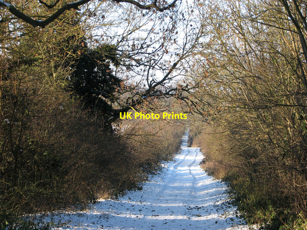 Photo 6"x4" The Roman Road at Christmas Babraham c2010