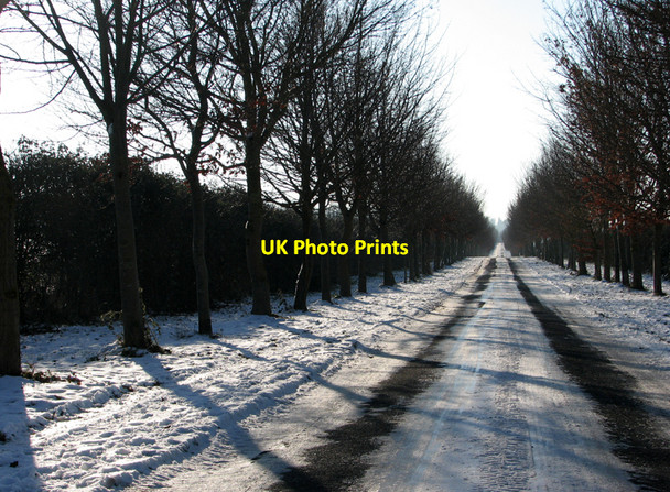 Photo 6"x4" Babraham Road on Christmas Day Fulbourn c2010