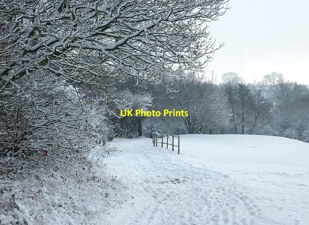 Photo 6"x4" Footpath across Penn Common, Staffordshire Sedgley c2010
