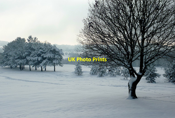 Photo 6"x4" Snow across the golf course on Penn Common, Staffordshire Sedgley c2010