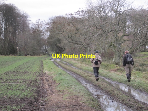 Photo 6"x4" Byway towards Bradford Harnham\/NZ0780 c2010