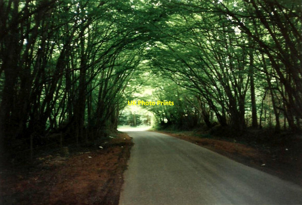 Photo 6"x4" Hook Green Lane Lamberhurst Quarter c1995