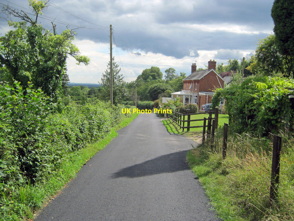 Photo 6"x4" Hinders Lane Little London\/SO7018 c2010