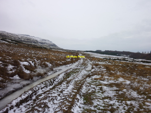 Photo 6"x4" Below the Gargunnock Hills Gargunnock c2010