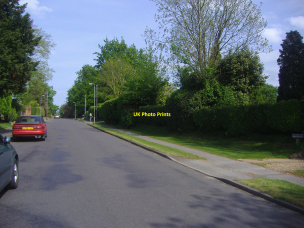 Photo 6"x4" Warren Road Guildford Guildford c2009