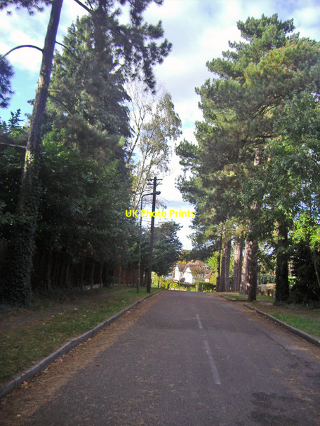 Photo 6"x4" Pine Grove, Totteridge Barnet c2008