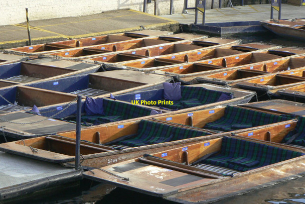 Photo 6"x4" Pattern of punts Cambridge\/TL4658 c2010