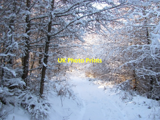 Photo 6"x4" Newish path beneath Climbing Jack Common Overton\/SO5072 c2010