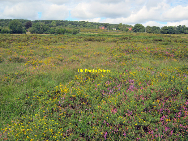 Photo 6"x4" Catherton Common Crumpsbrook c2010