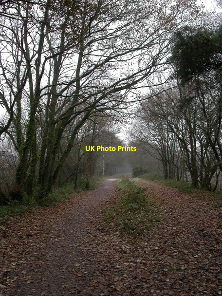 Photo 6"x4" Ashley, trailway Ringwood\/SU1505 c2010